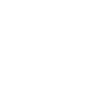 VW